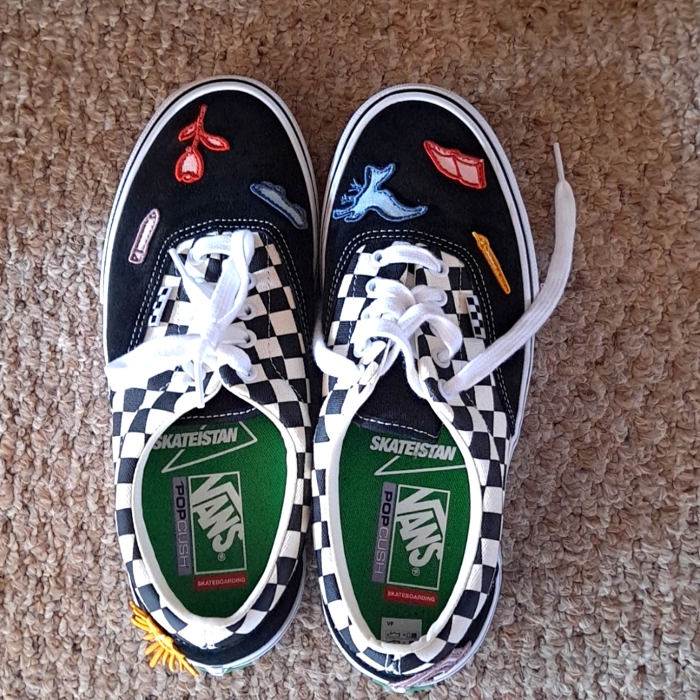 Vans Skateistan Popcush Skateboarding Shoes Gem